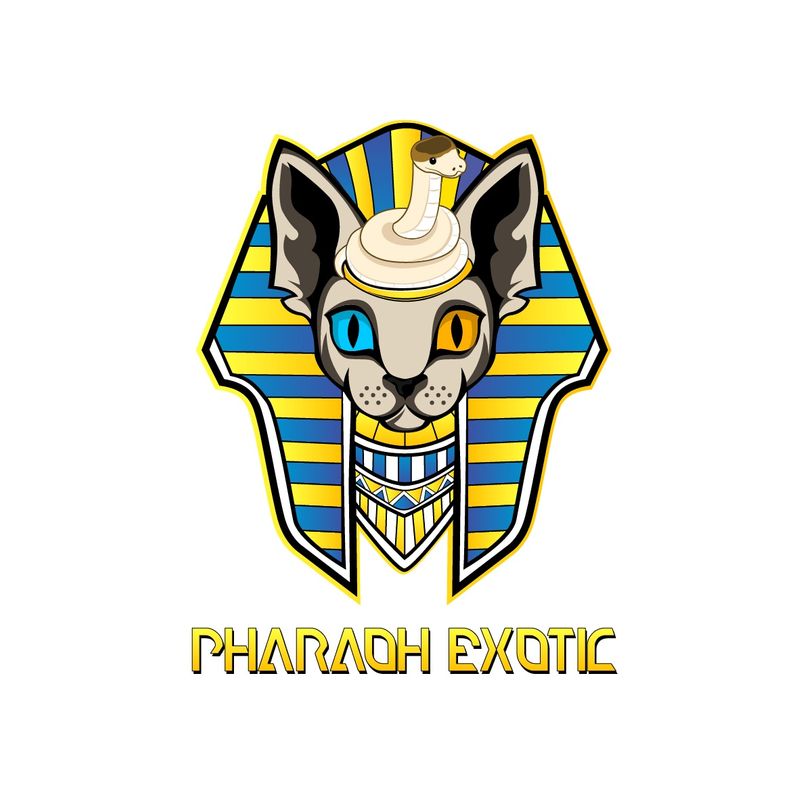 Pharaoh Exotic