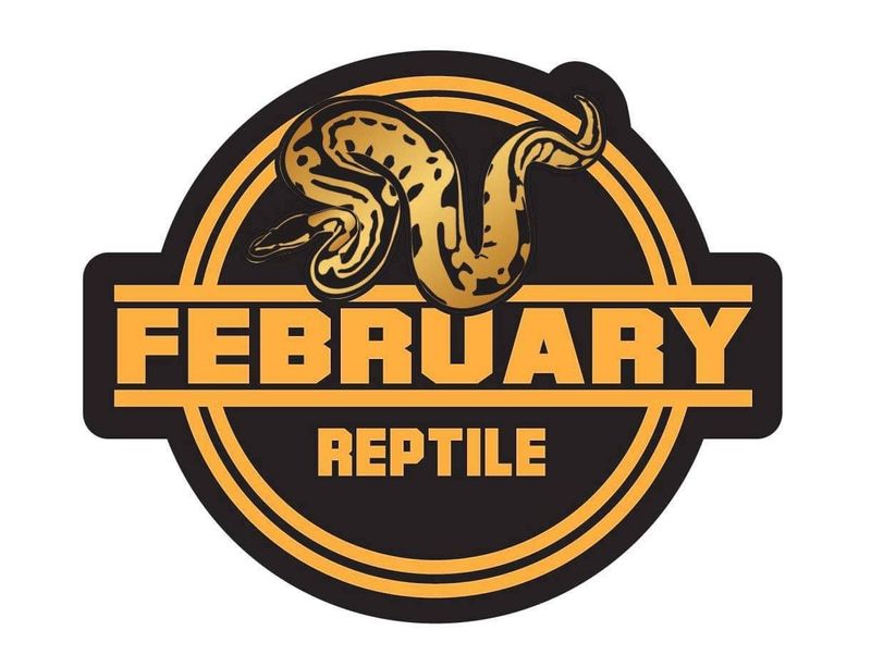 FebruaryReptile