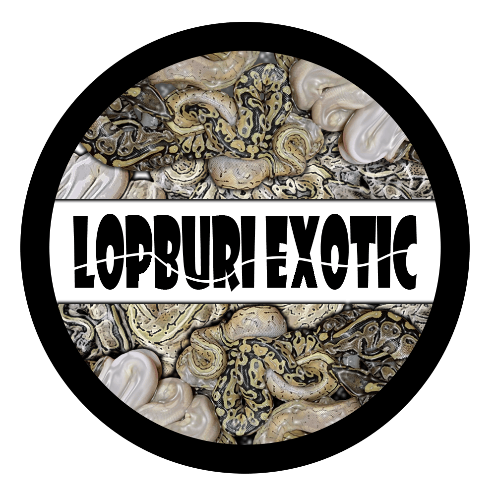 LopburiExotic