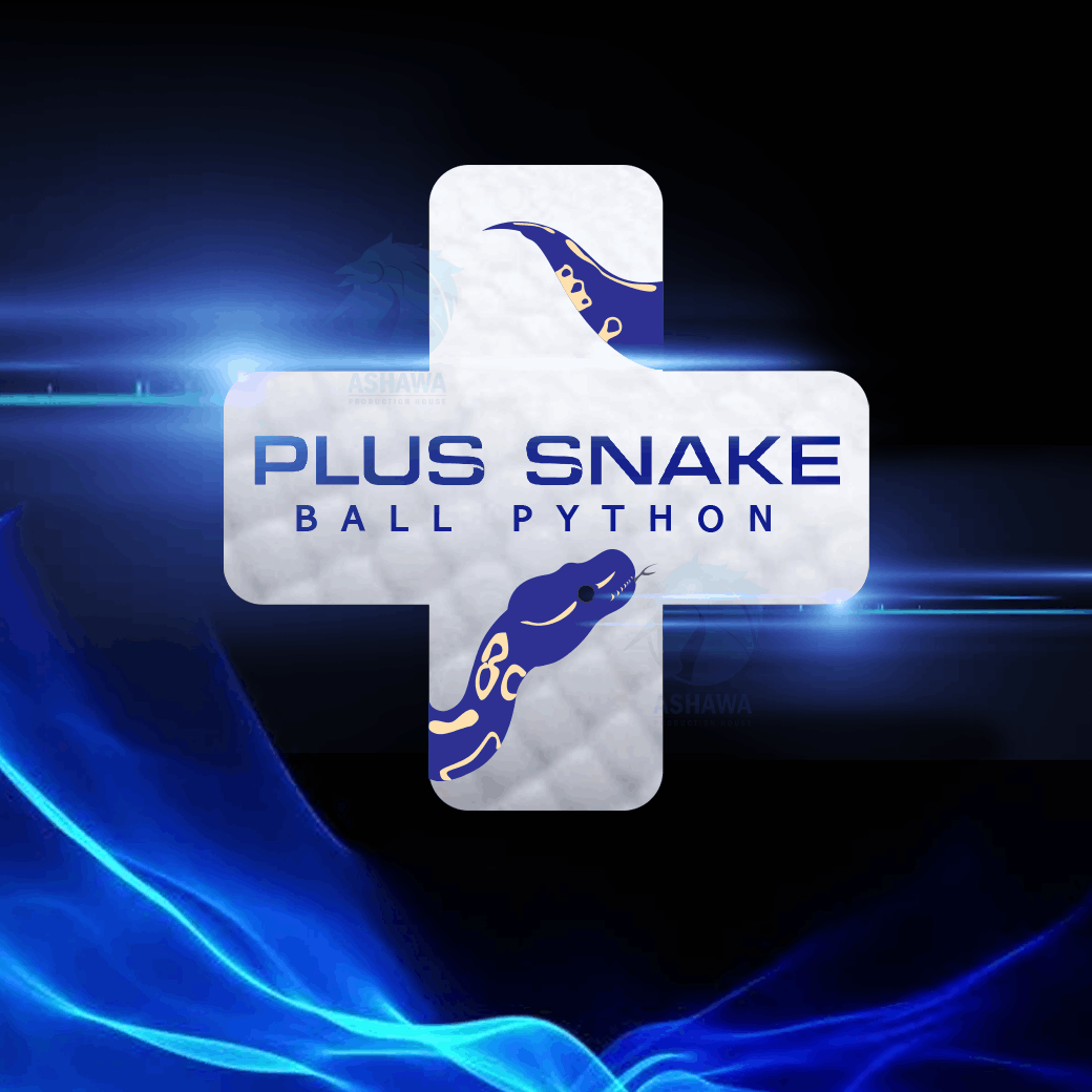 Plus Snake