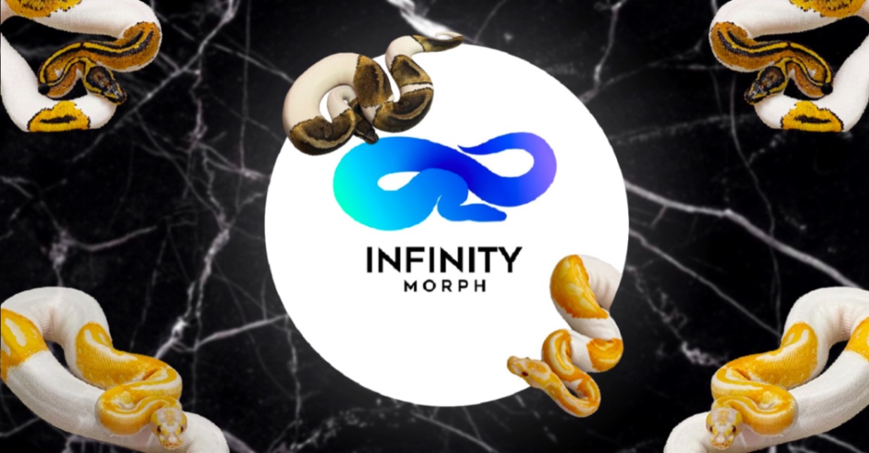 Infinity morph