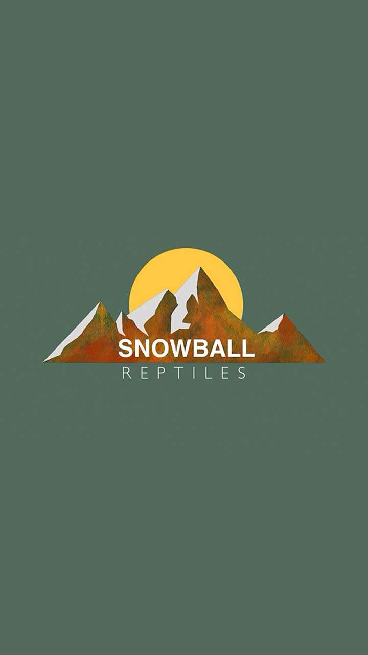 Snowball Reptile