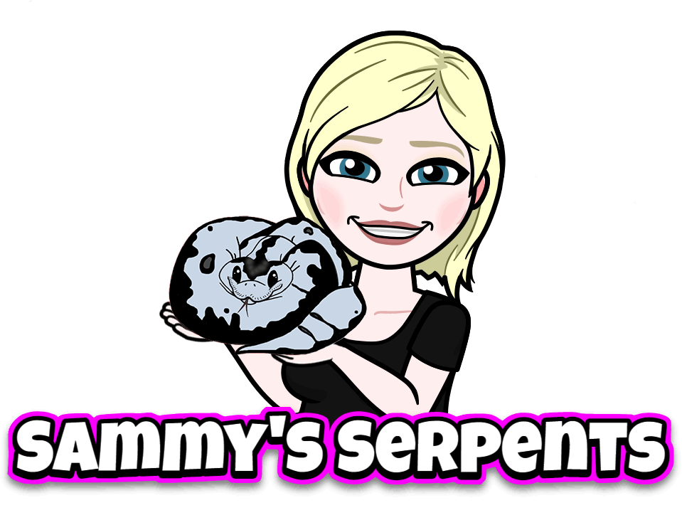 Sammys Serpents 