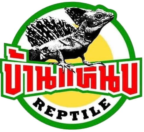 Bannhap reptiles