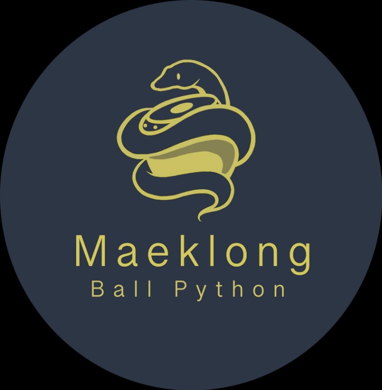 Maeklong Ball Python 