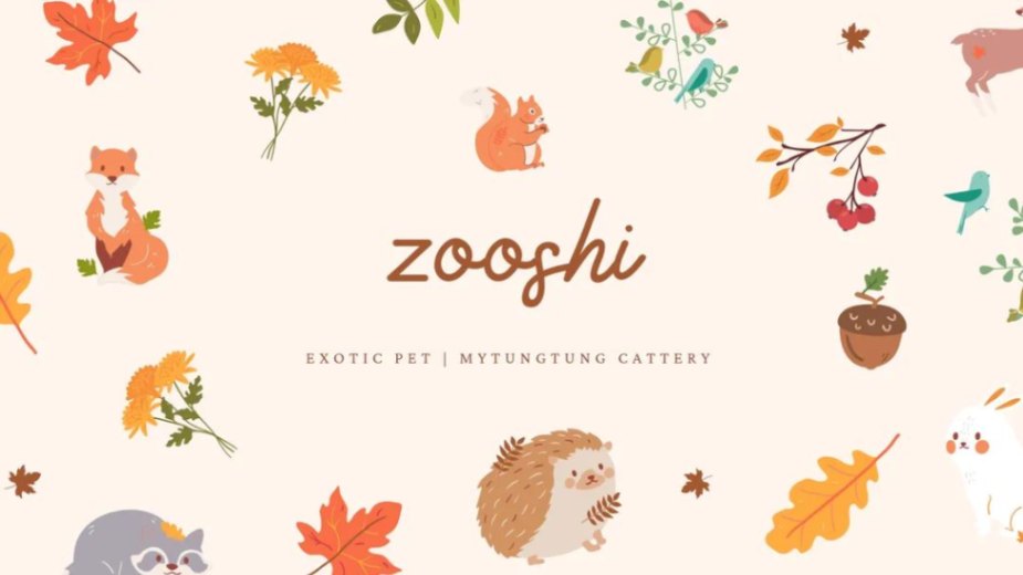 Zooshi Exotic Pets