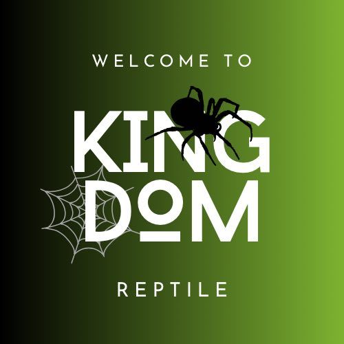 Kingdom Reptile