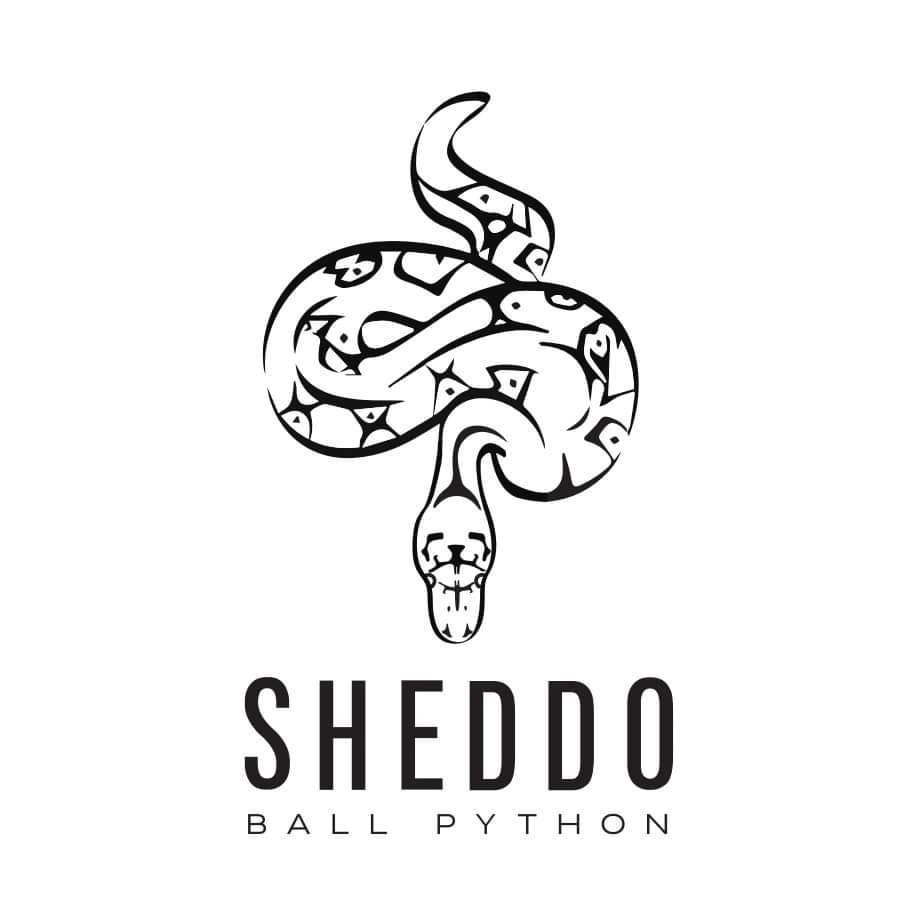 SHEDDO Ball Python