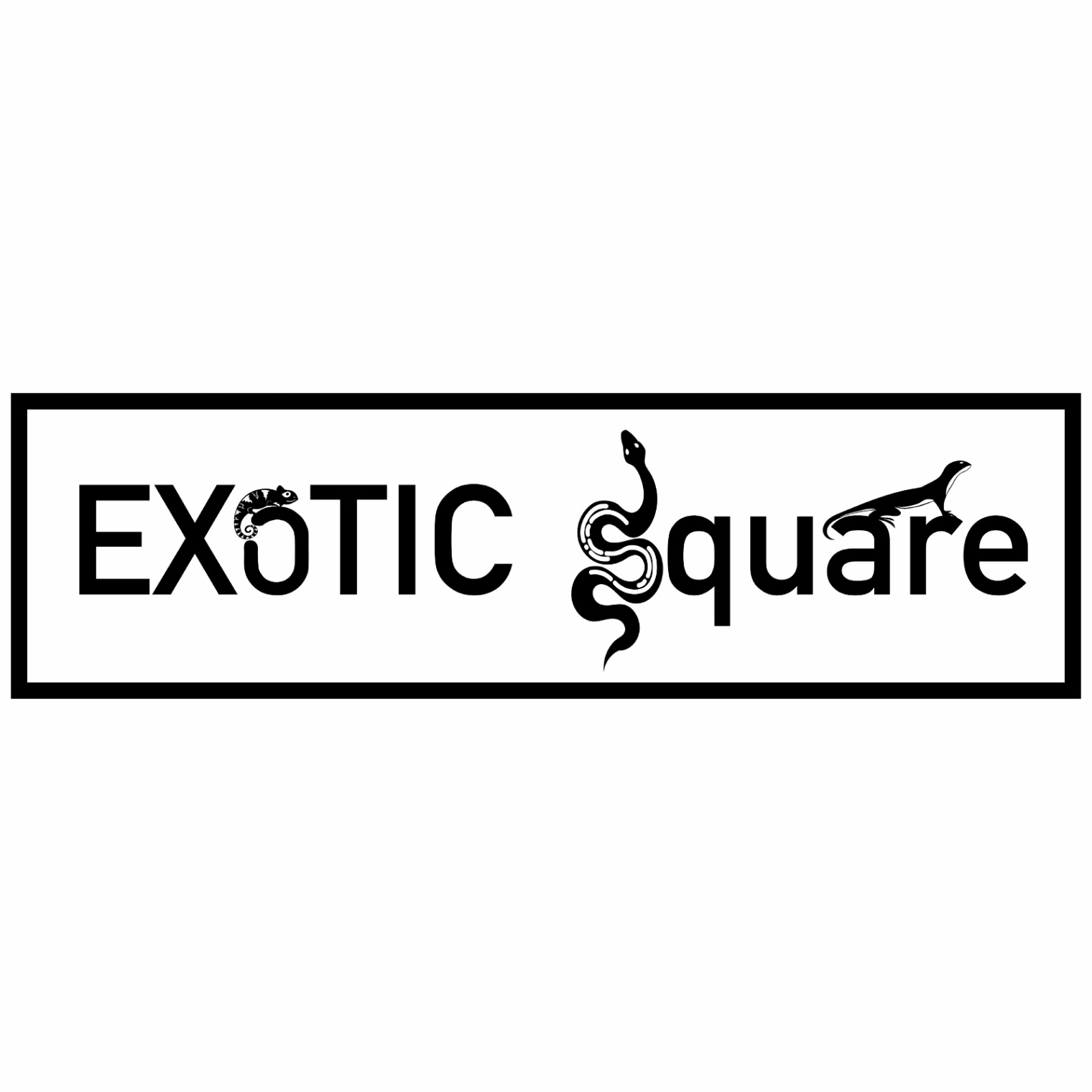 Exotic Square