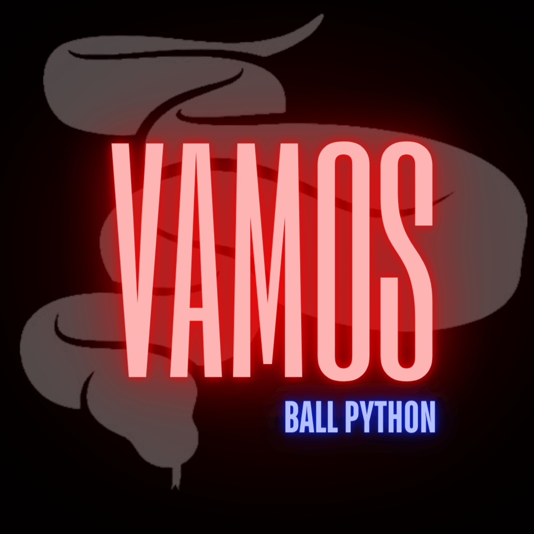 VAMOS Ballpython